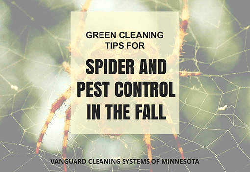 Office Cleaning Tips for Pest Control